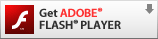 Download the free Adobe Flash Player